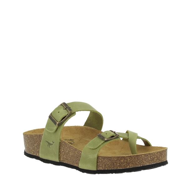 Plakton 341032 PISTACHO-26