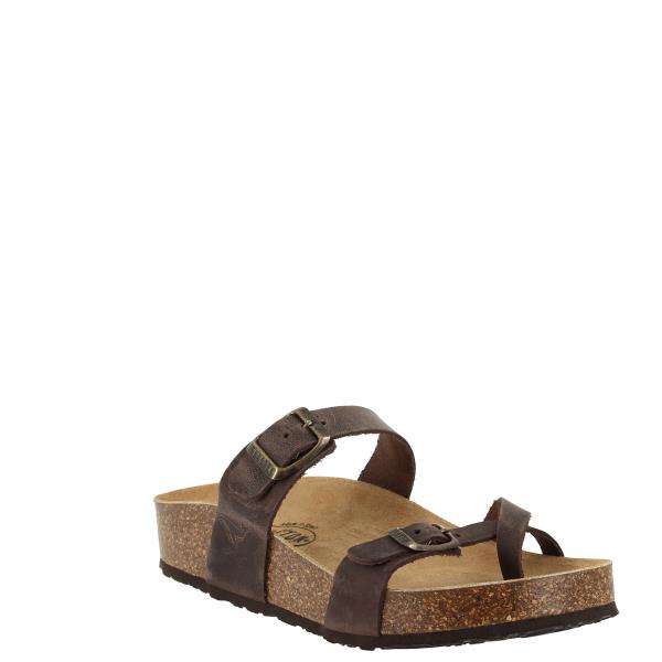 Plakton 341032 MARRON