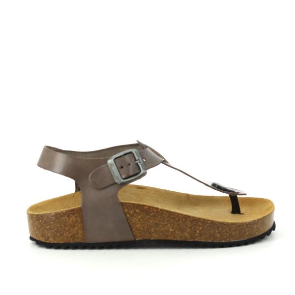 Plakton 341676 GRIS