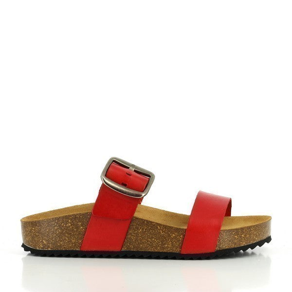 Plakton 343004 RED