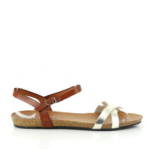 Plakton 575029 GOLD-TAN