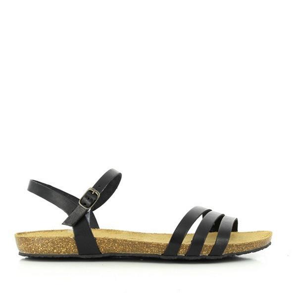 Plakton 575080 NEGRO