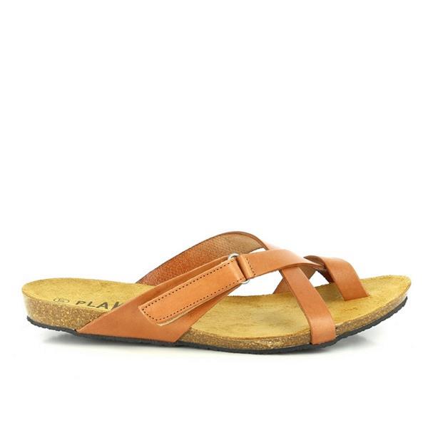 Plakton 575125 TERRA