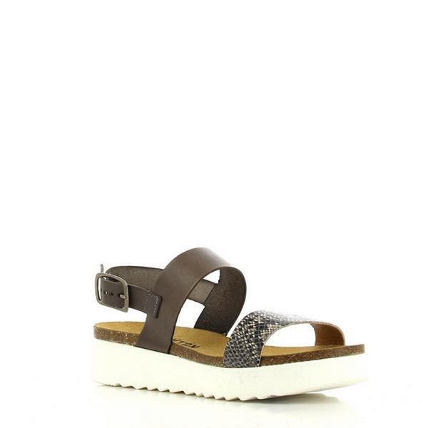 Plakton 665057 MULTI