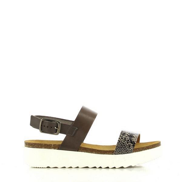 Plakton 665057 MULTI