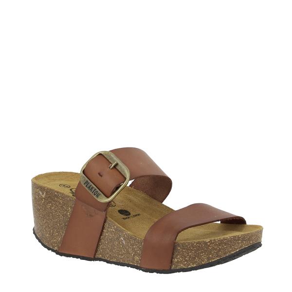 Plakton 873004 ROBLE-1146