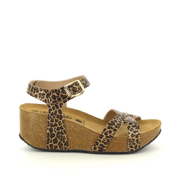 Plakton 875087 ORO-MULTI