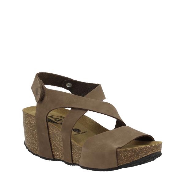 Plakton 875644 CASTAGNA
