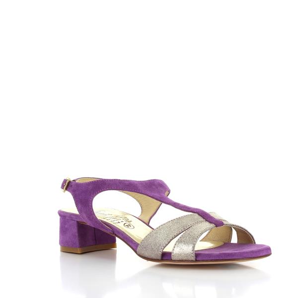 Quait 1334 PURPLE-GOLD