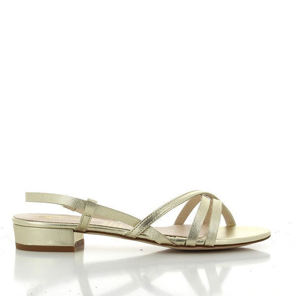 Quait 16315 GOLD