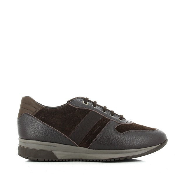 24 Hrs 10481 MARRON