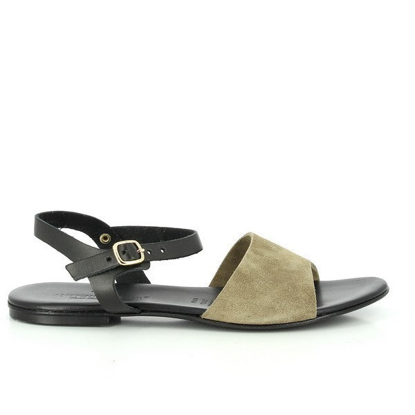 Antichi Romani 877 TAUPE