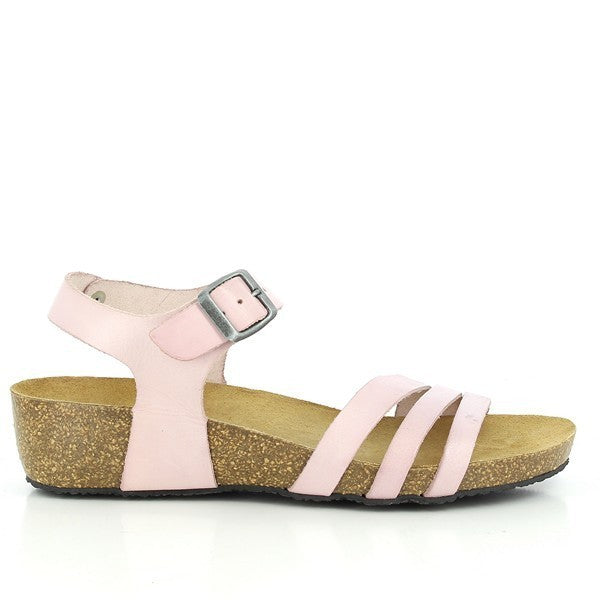 Plakton 241007 BLUSH