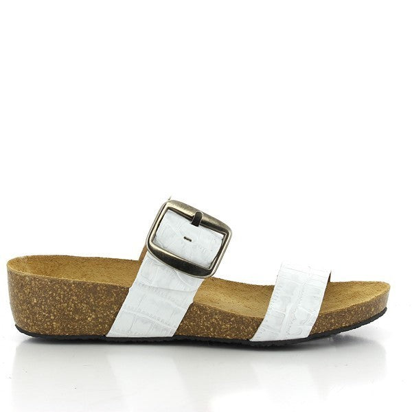 Plakton 243004 WHITE