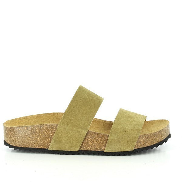 Plakton 345051 KAKI