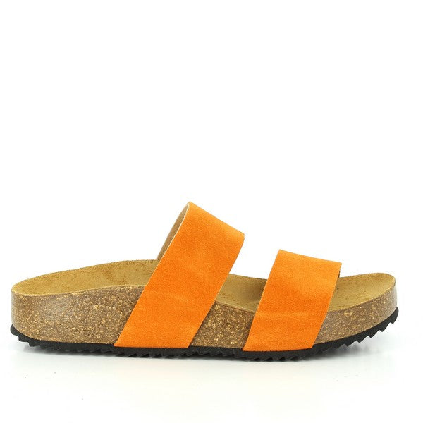 Plakton 345051 ORANGE