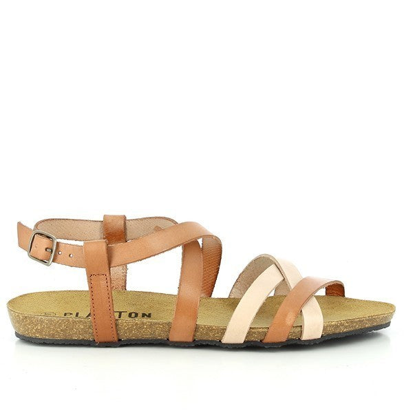 Plakton 575184 MULTI
