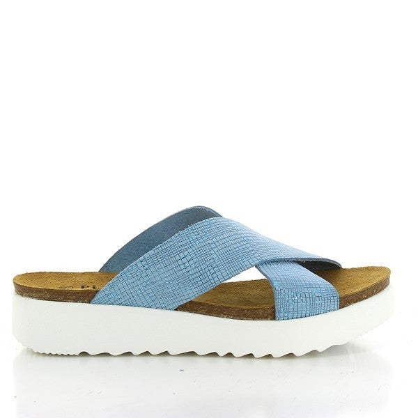 Plakton 665038 BLUE