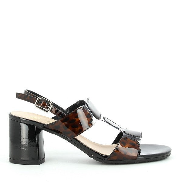 Quait 16436 BROWN