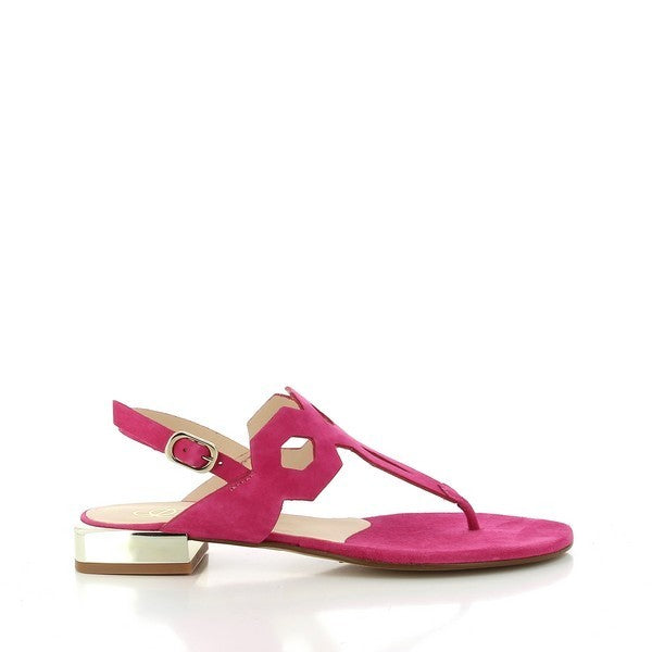 Quait 19100 PINK