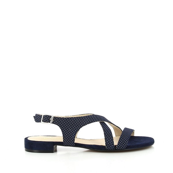 Quait 19131 NAVY-WHITE